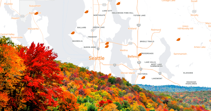 Leaf Peeping Made Easy Create A Community Fall Foliage Map 1 P 800 