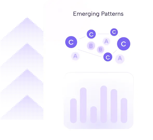 Insights & Reporting