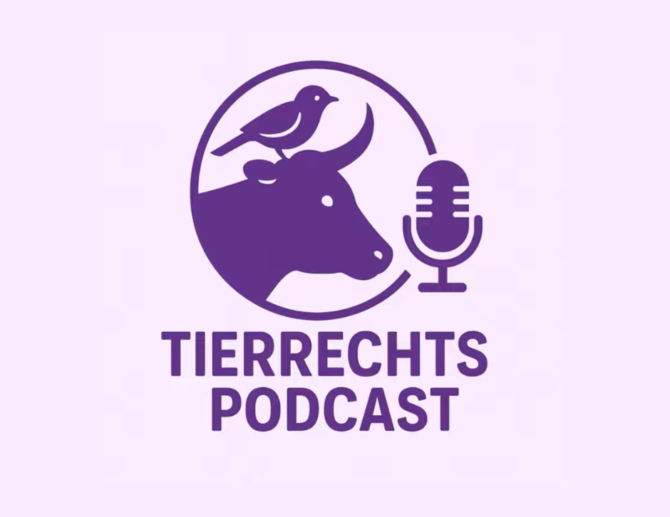 Aktivismus hinter den Kulissen: Unsere Mitgründerin Eva Seifert im Tierrechtspodcast