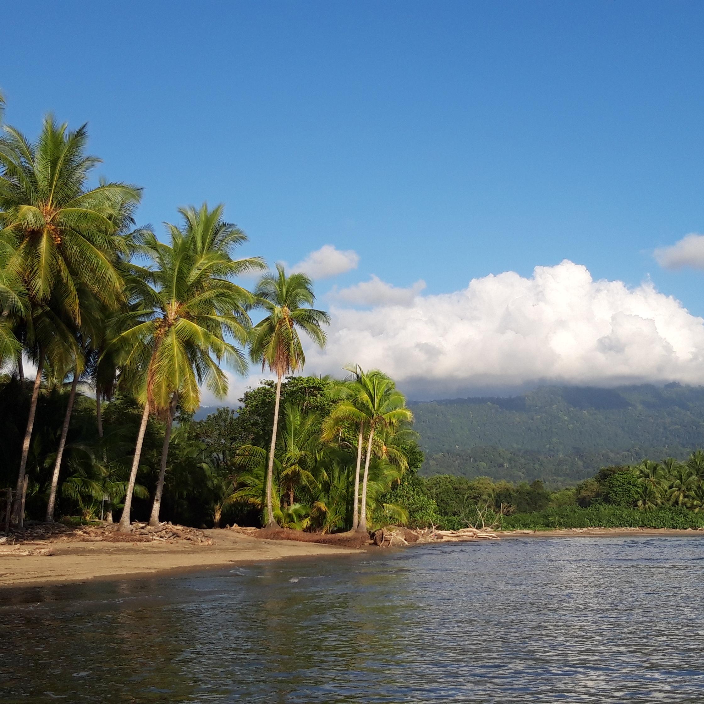 Costa Rica Adventure