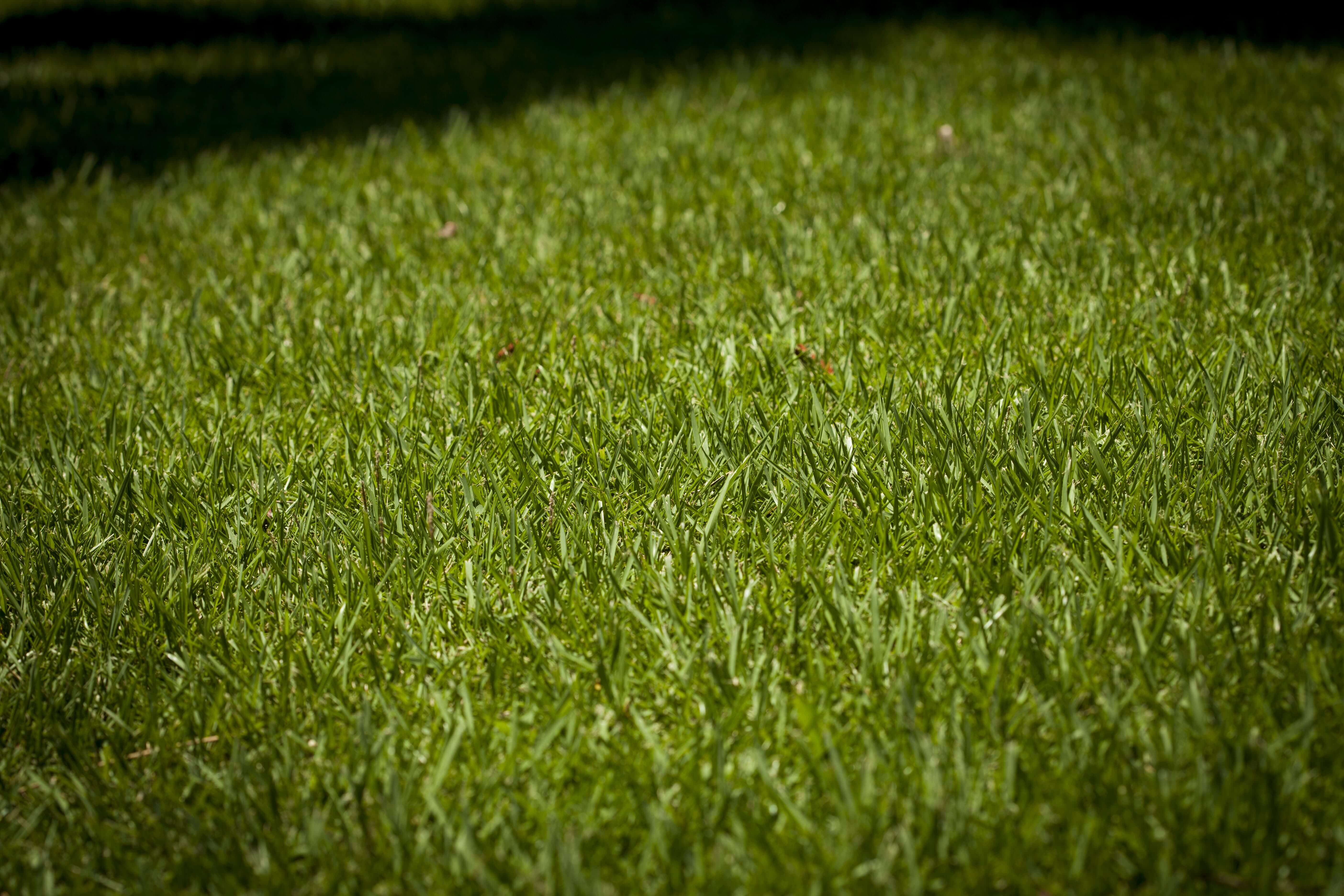 Irrigation Repair Jupiter Experts