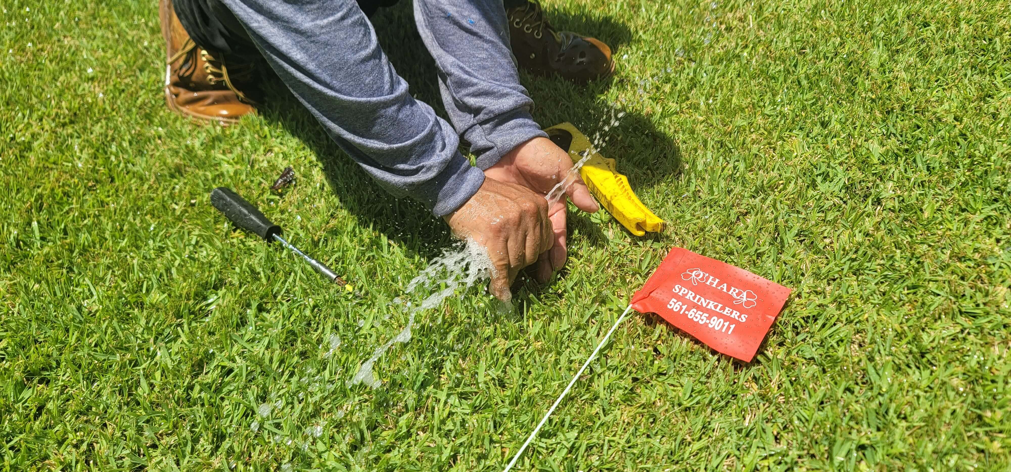 ongoing Sprinkler Maintenance Wellington