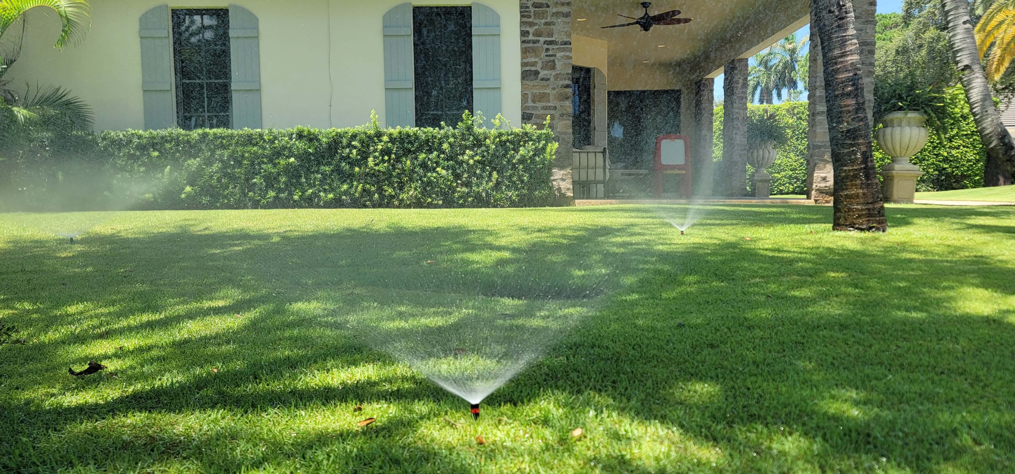 after Sprinkler Maintenance Wellington