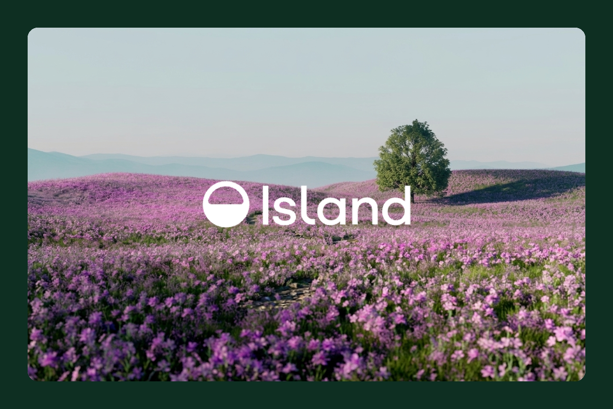 Island blog hero image for What Is Data Leakage Protection?