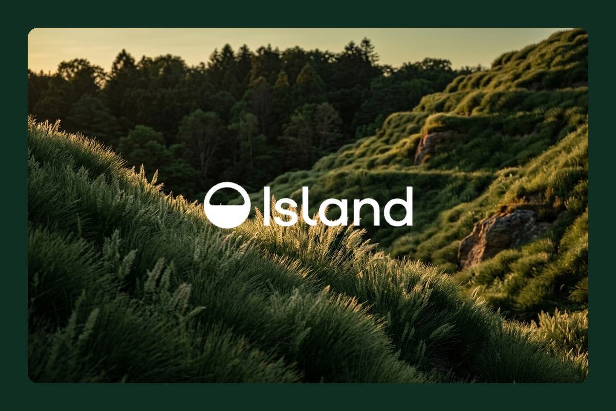 Island blog hero image for How To Run An AI Governance Assessment That Includes Agents And MCP
