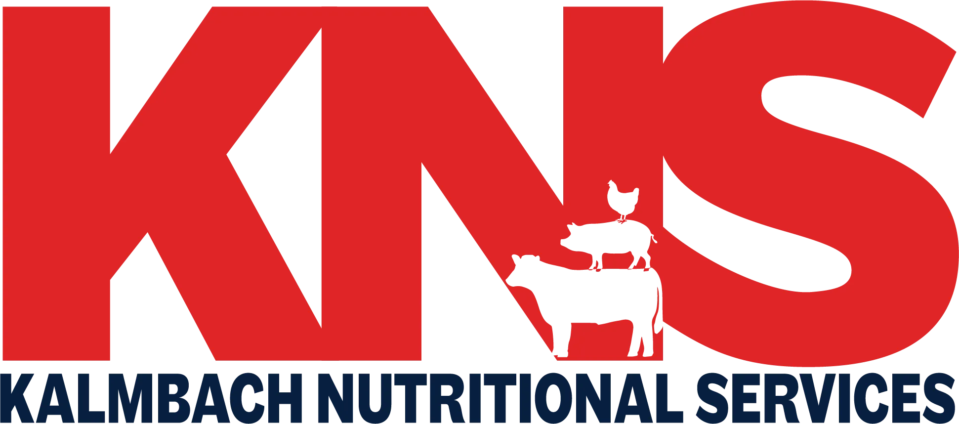 BVS logo