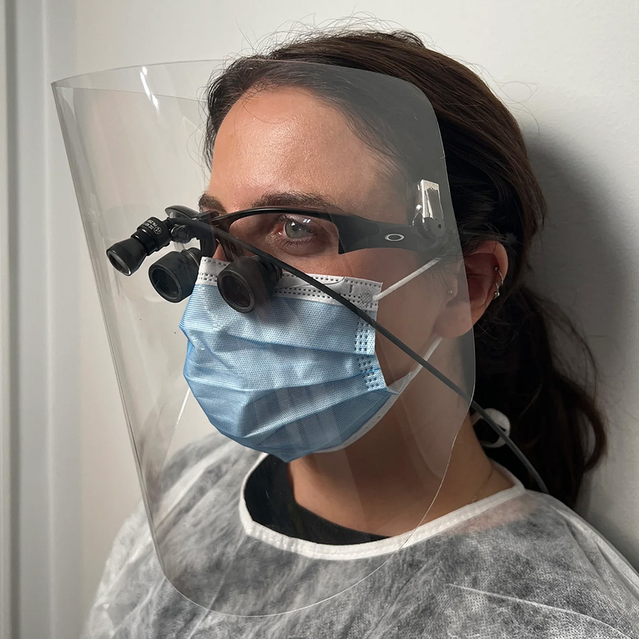 Face Shield 
