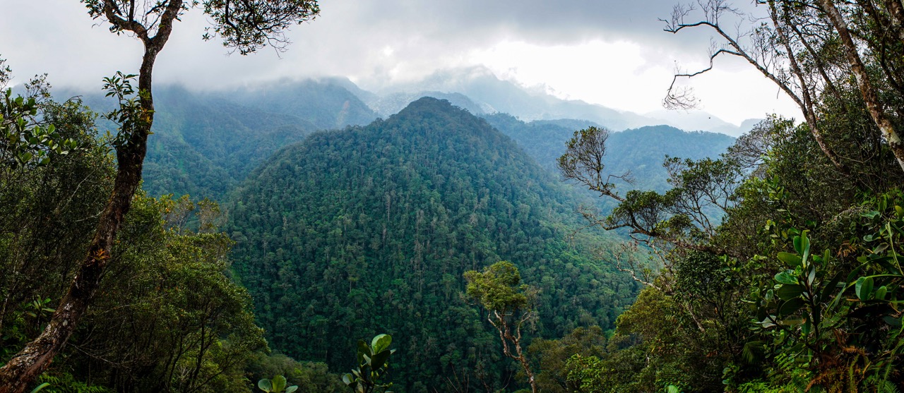 Honduras Strengthens Conservation with EarthRanger Across Protected Areas 