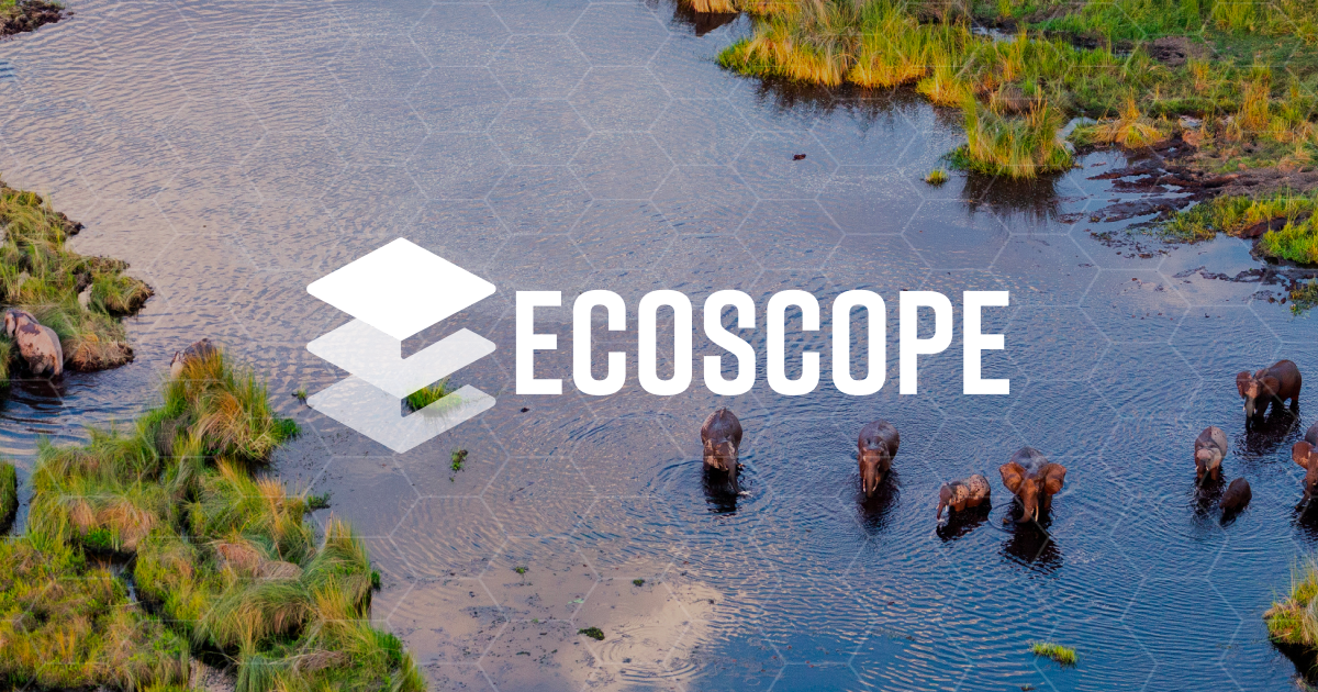 Announcing Ecoscope: Open‑source analytics that bring conservation data into focus