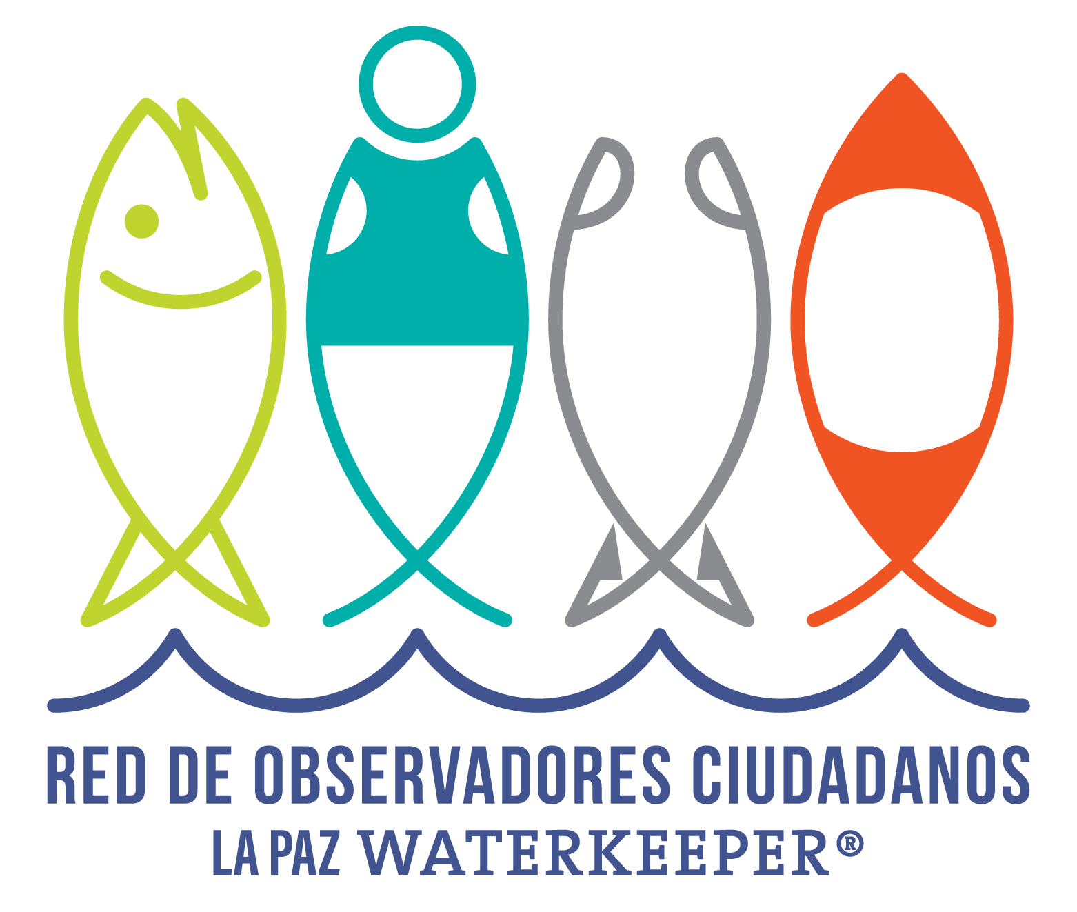 La Red de Observadores Ciudadanos A.C. (ROC)