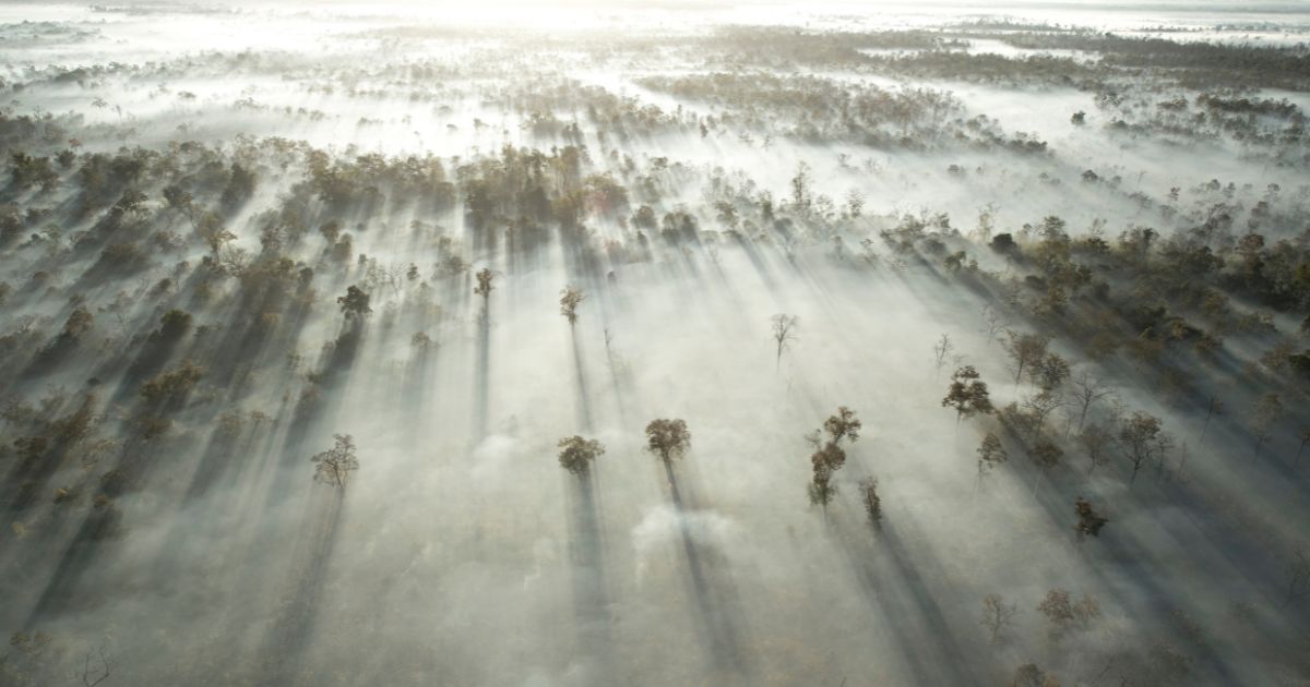 Rising Phoenix: Saving the Wild Heart of Cambodia