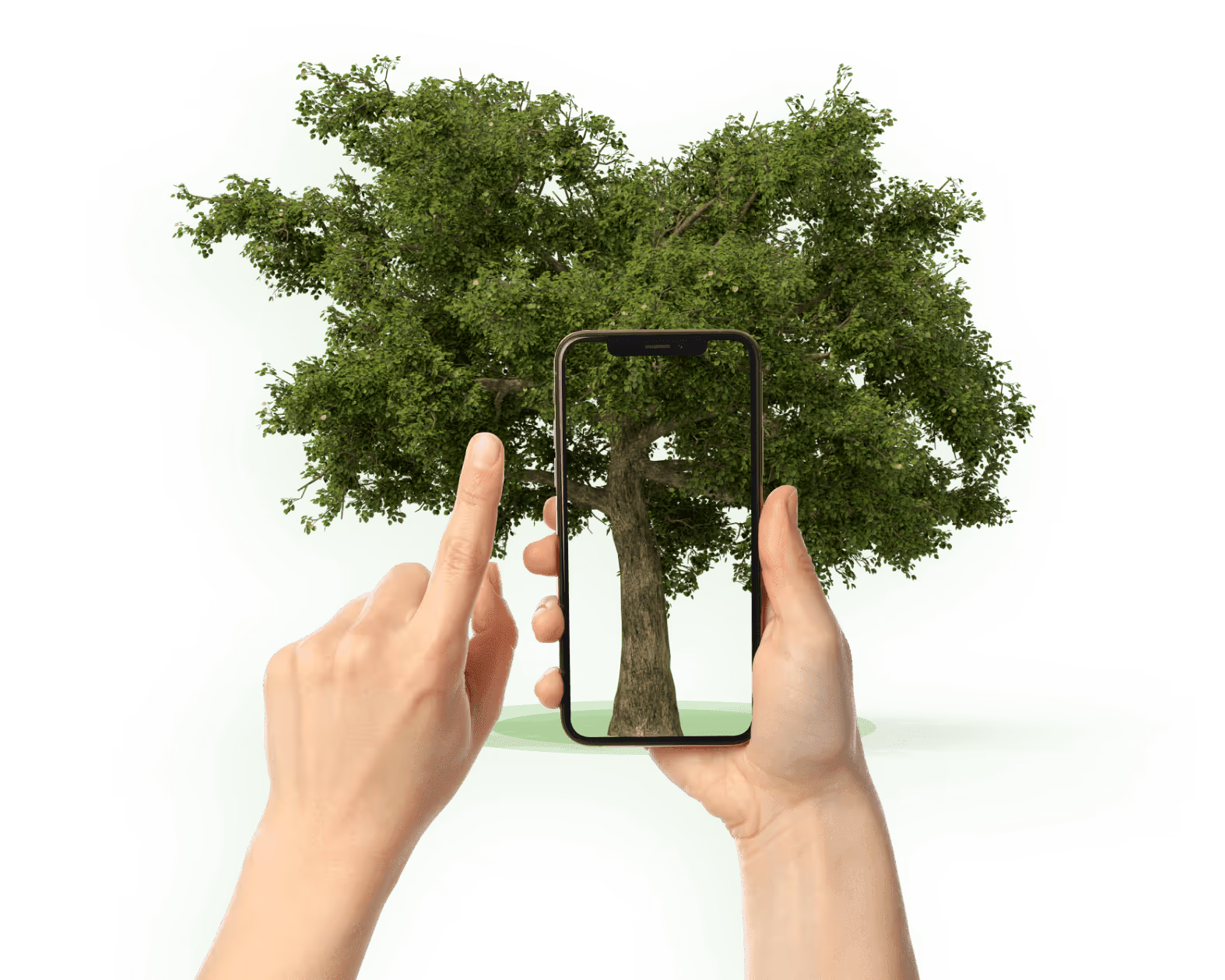 Vos arbres dans Grality