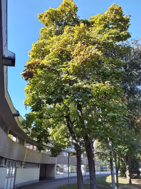 Gestion des campus de l'université de Lorraine