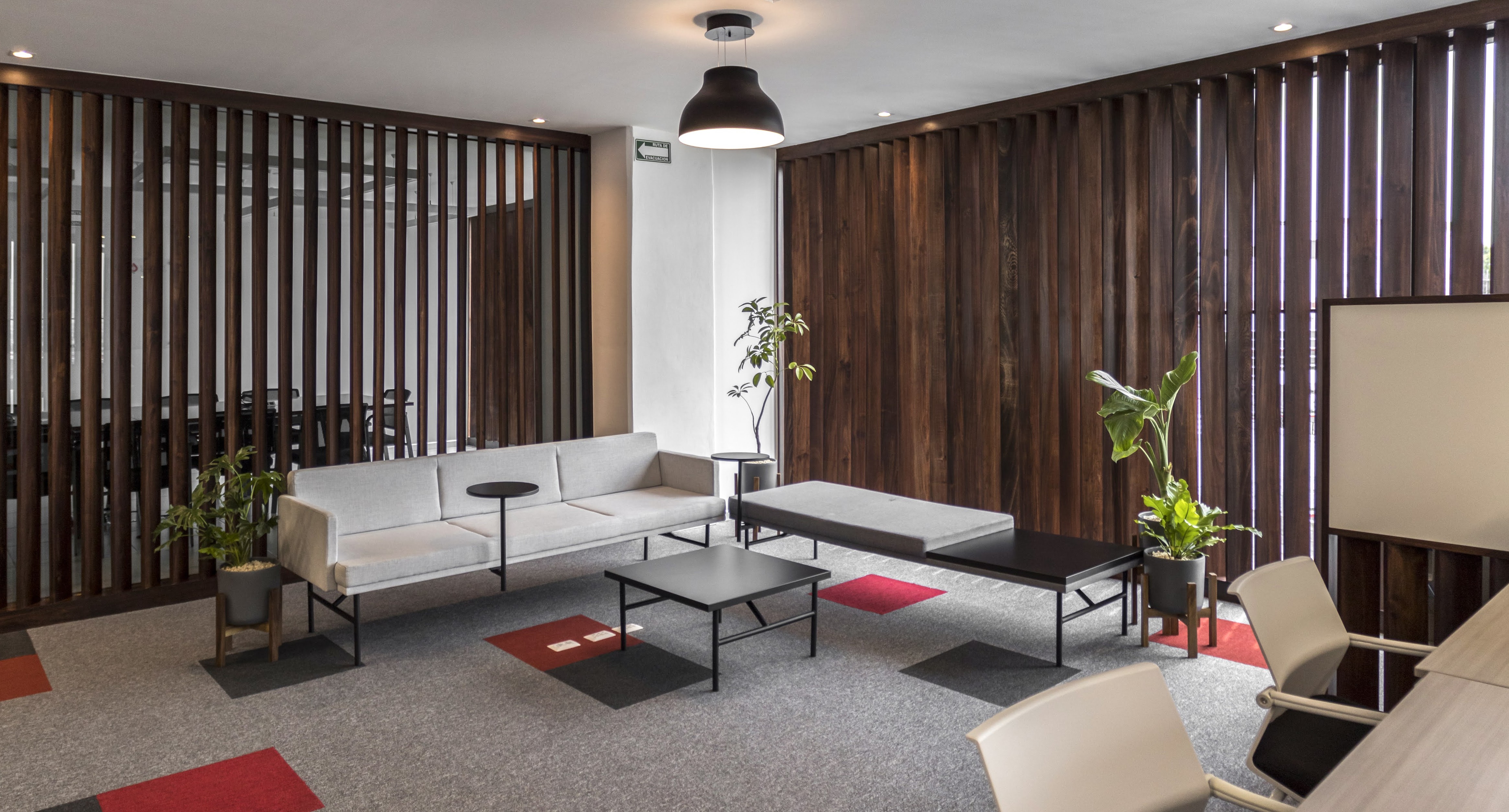 oficina corporativa moderna celosía de madera plantas de interior muebles minimalistas lenguaje acogedor alfombra gris con rojo