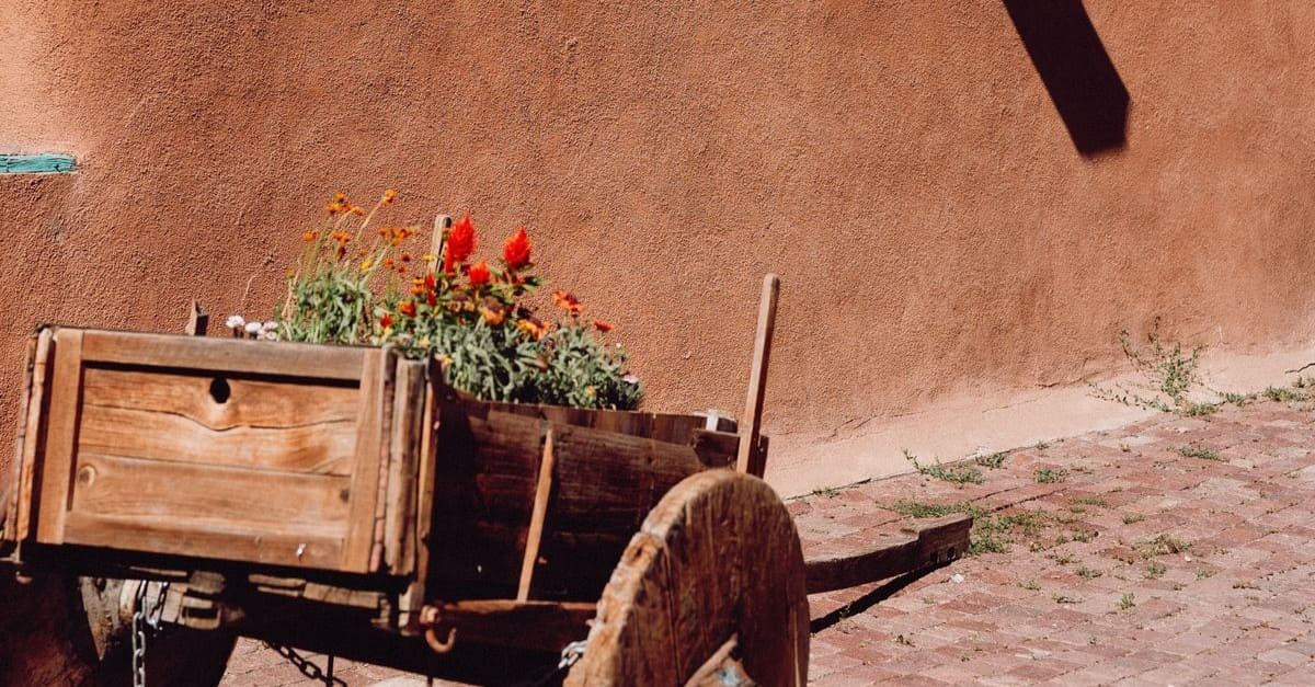 Carreta en contraste con un muro de adobe