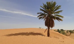 Mauritania