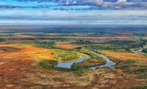 Central African Republic