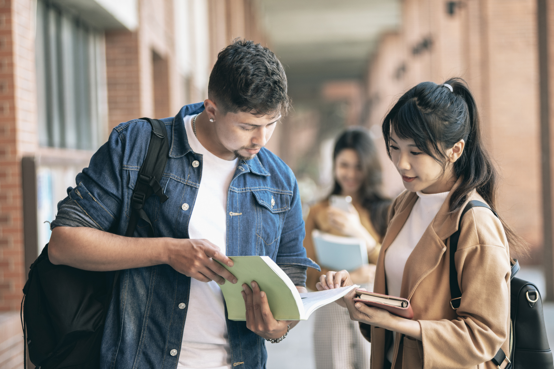 About That UCSD Math Report