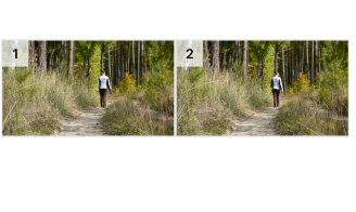 Wandelen als oefening bij heupartrose - Praktijk 3290 Diest