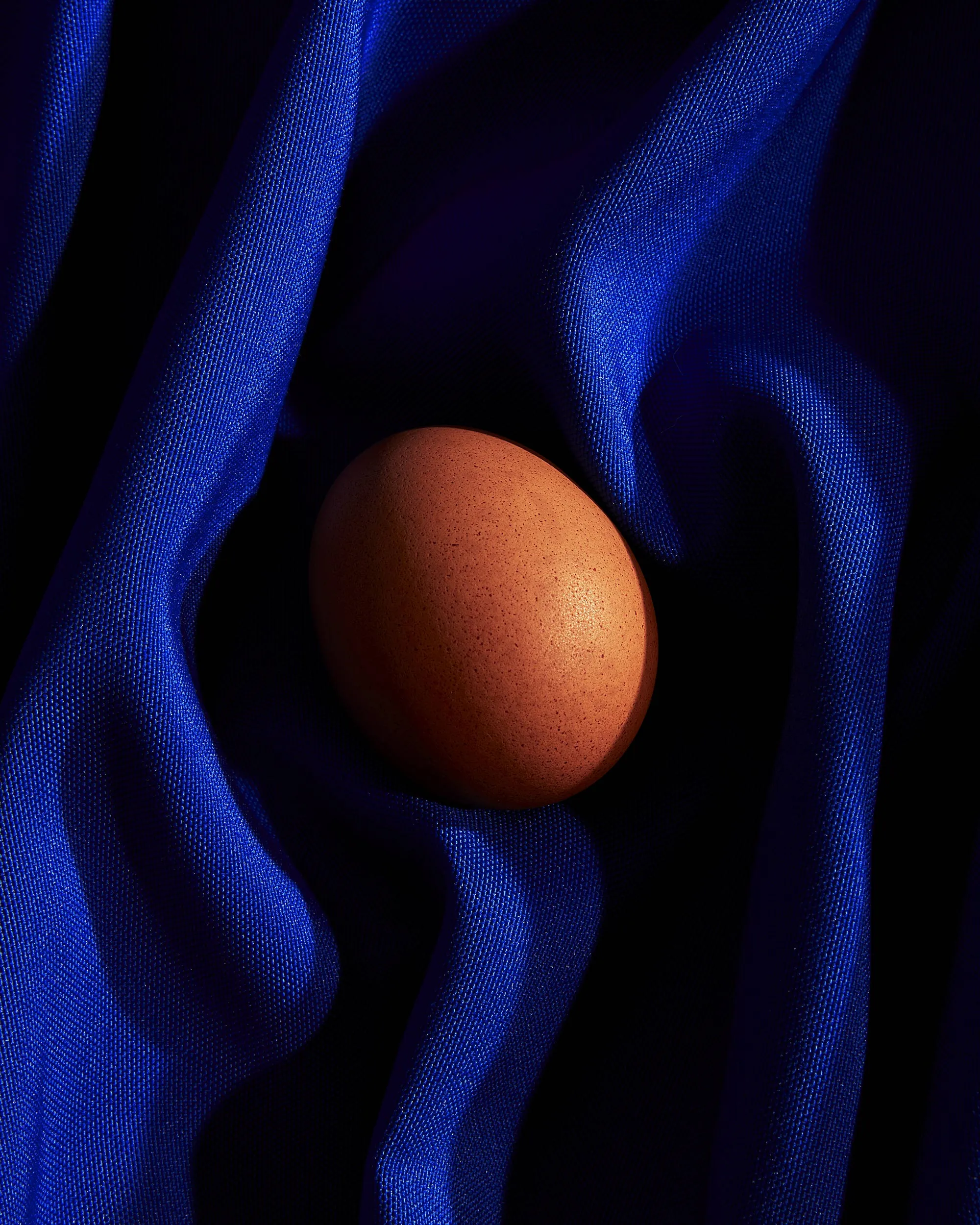 brown egg