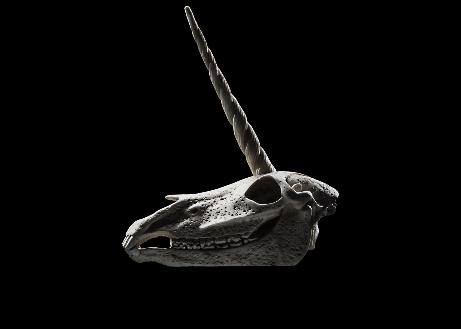 Los Angeles Photographer Vijey Mohan