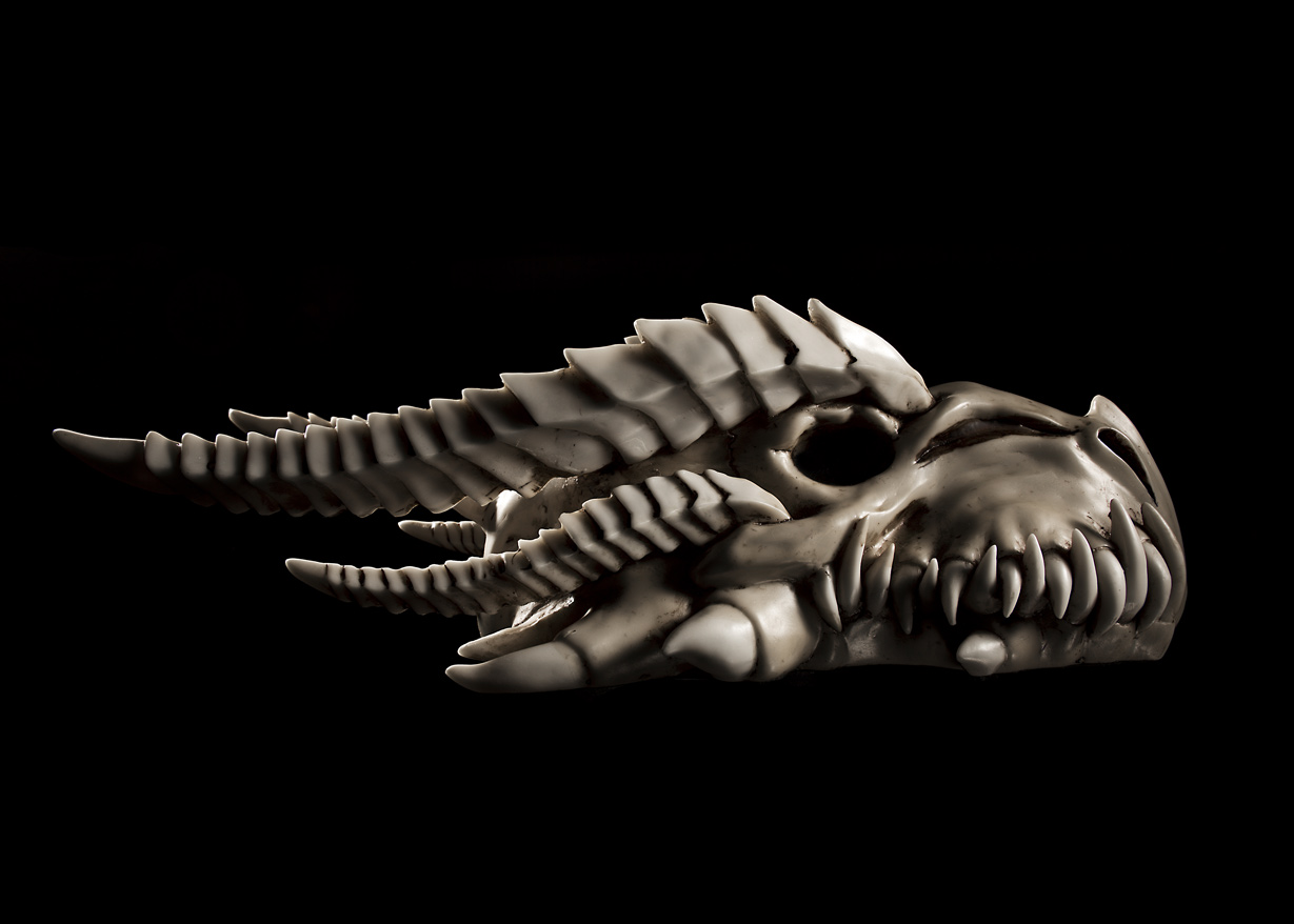 Los Angeles Photographer Vijey Mohan