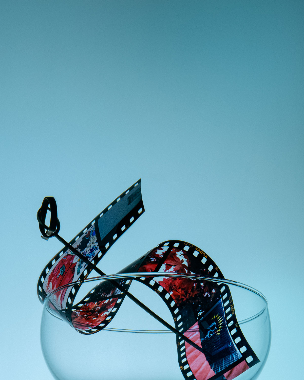 Single red chili pepper resting on a bed of dark roasted coffee beans.