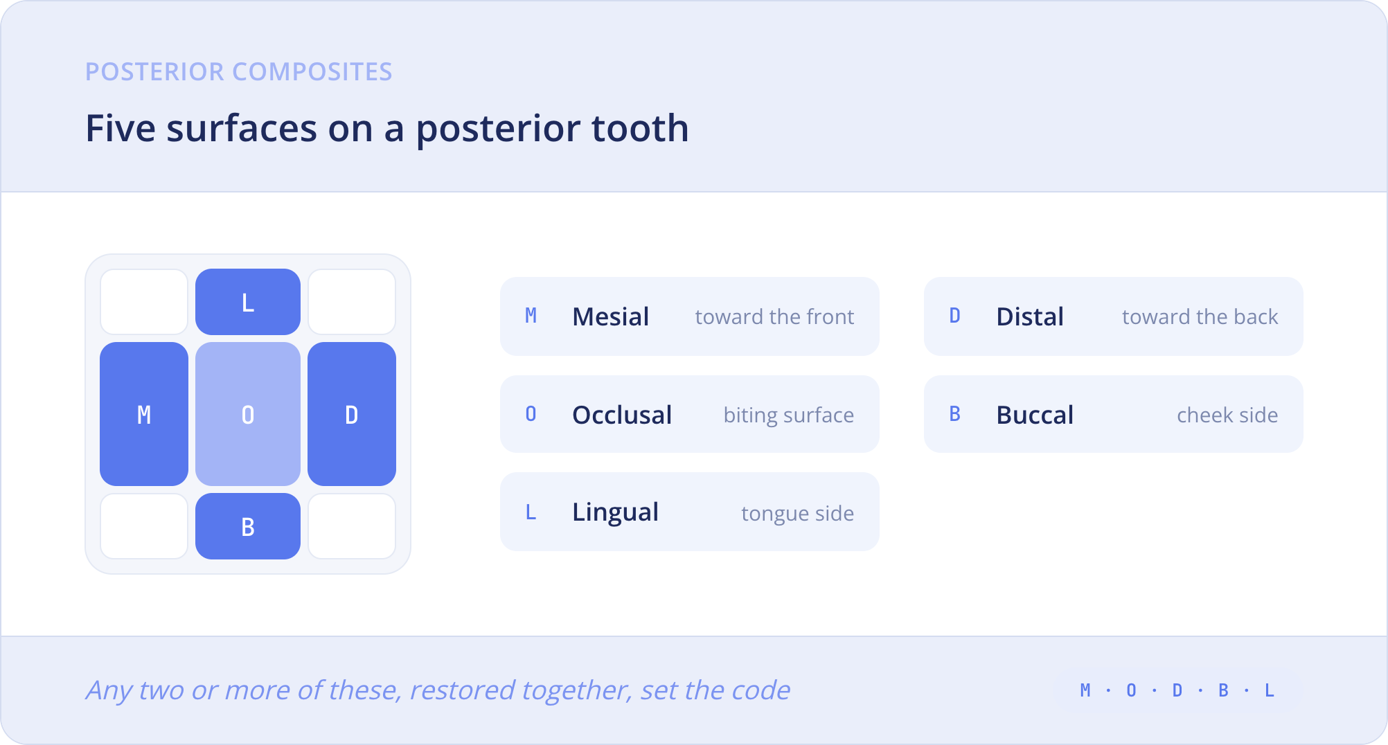 Diagram of the five surfaces on a posterior tooth: mesial, occlusal, distal, buccal, and lingual, abbreviated M, O, D, B, and L.