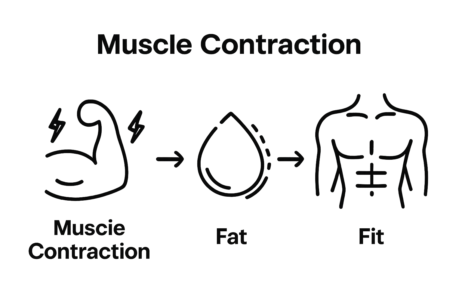 Infographic showing Emsculpt muscle contraction, fat reduction, and body transformation