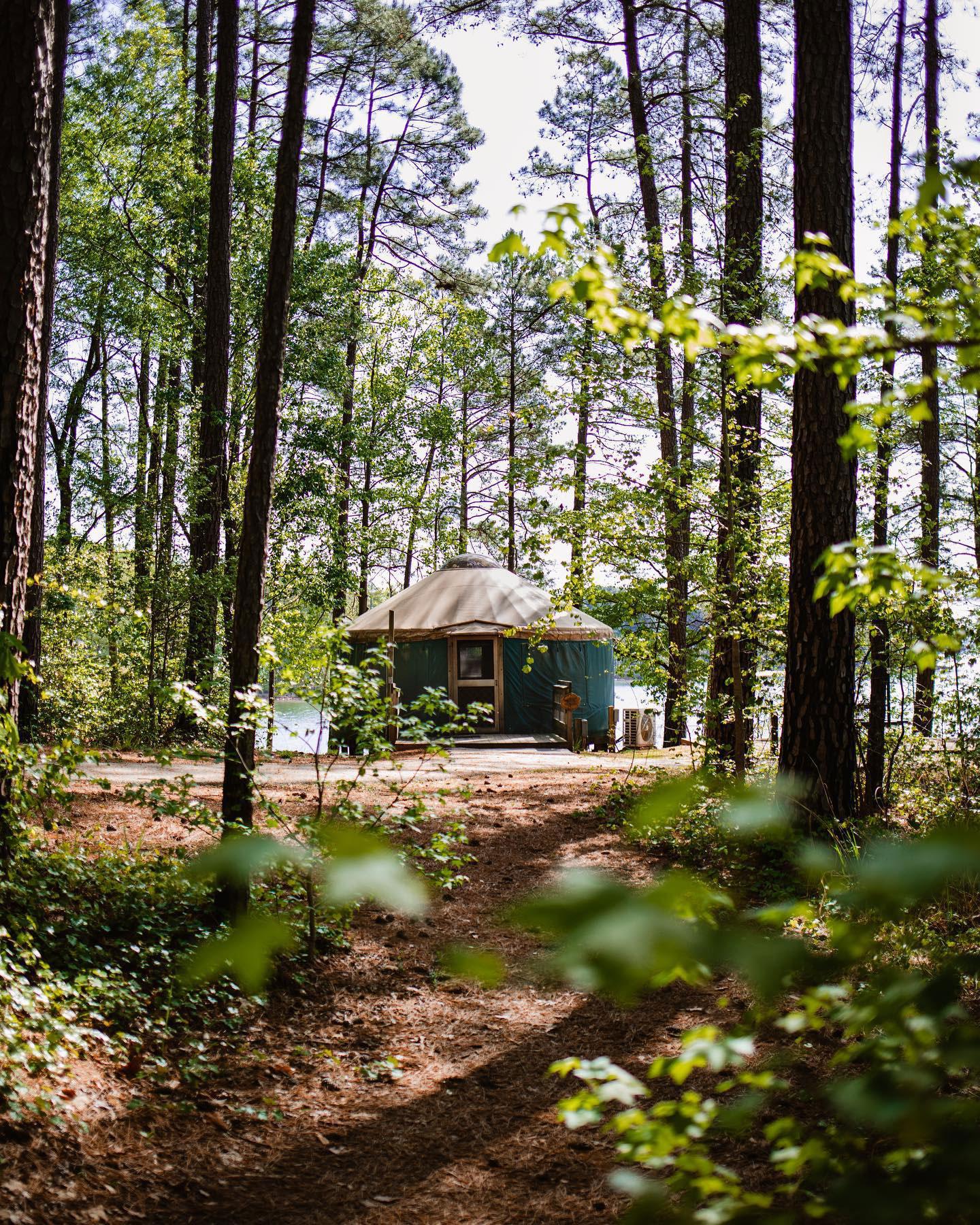A blue-and-beige yurt at Tugaloo State Park in Lavonia, Georgia, stands in the middle of this vertical photo. There are tall pine trees scattered around.