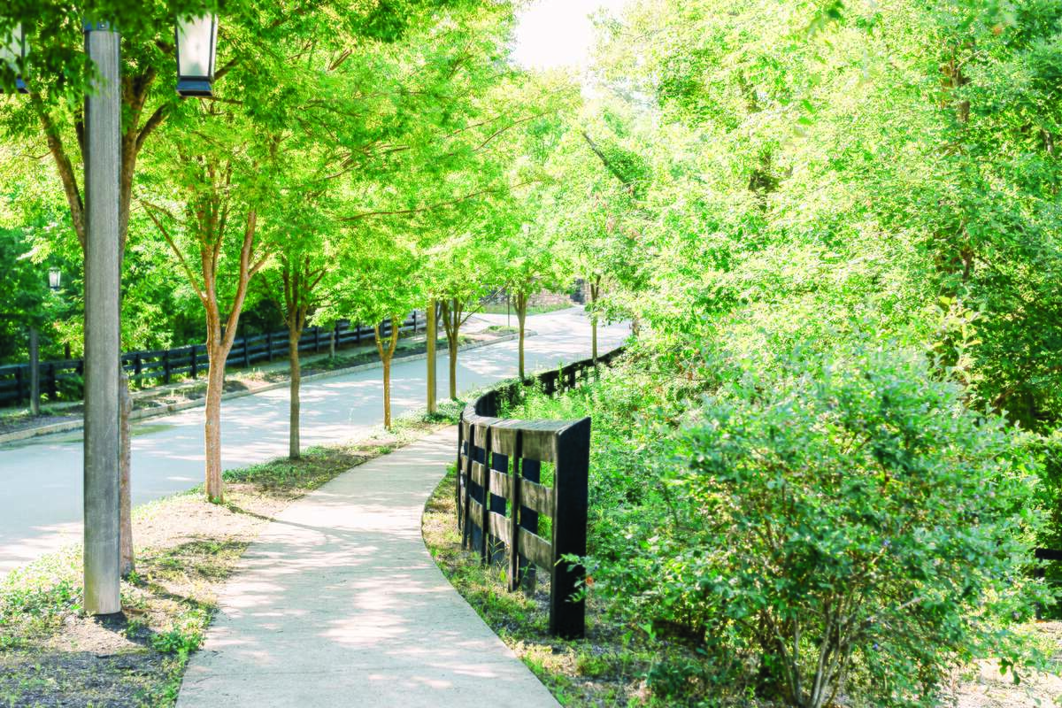 A paved garden path curves alongside a low gabion wall and a row of young trees in full summer leaf at Serenbe.