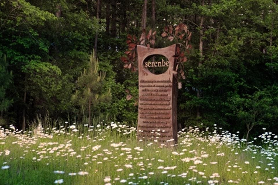 Serenbe Wildflowers_Credit Greg Newington