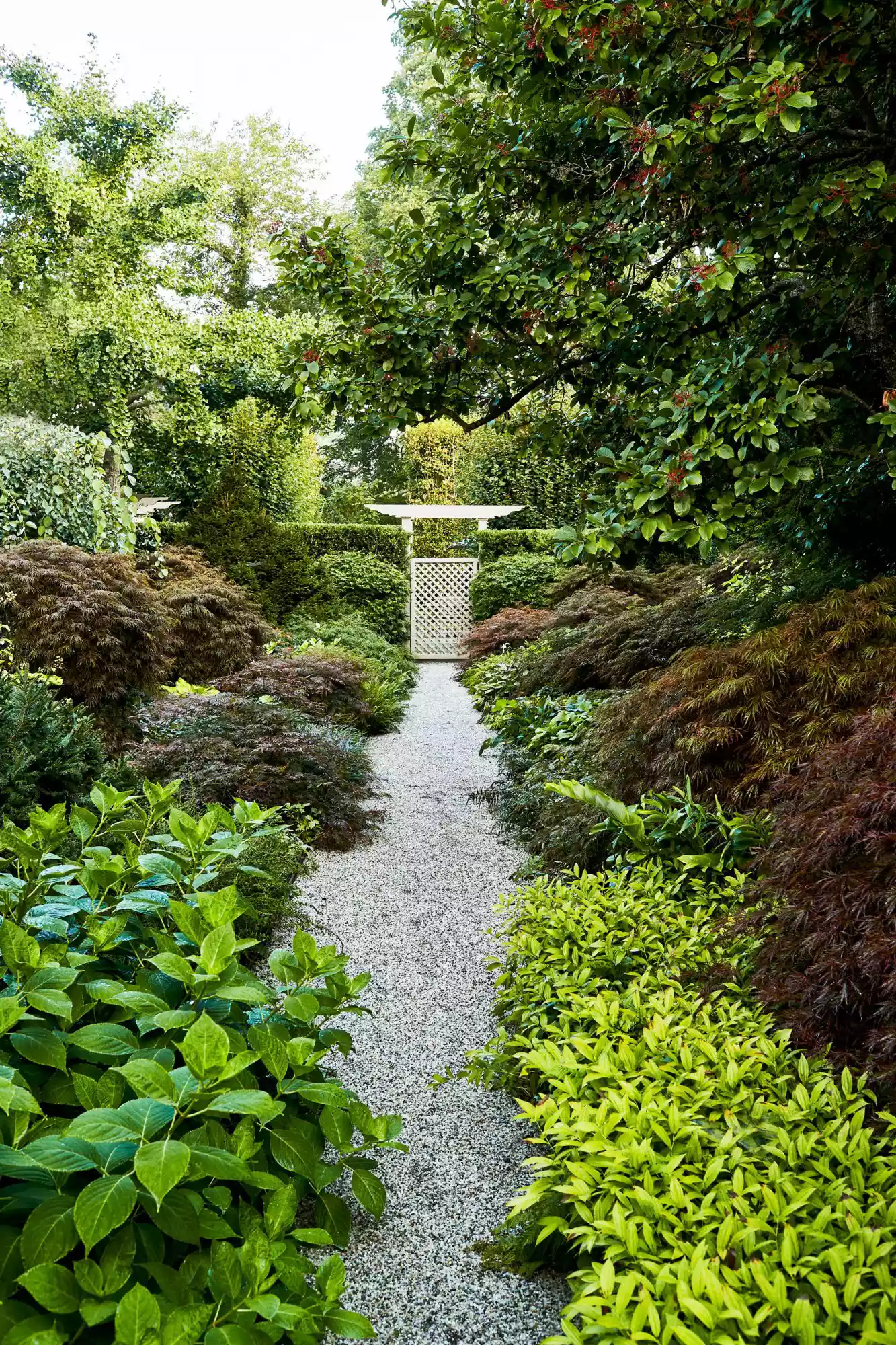 Lily Pond backyard and pool entrance