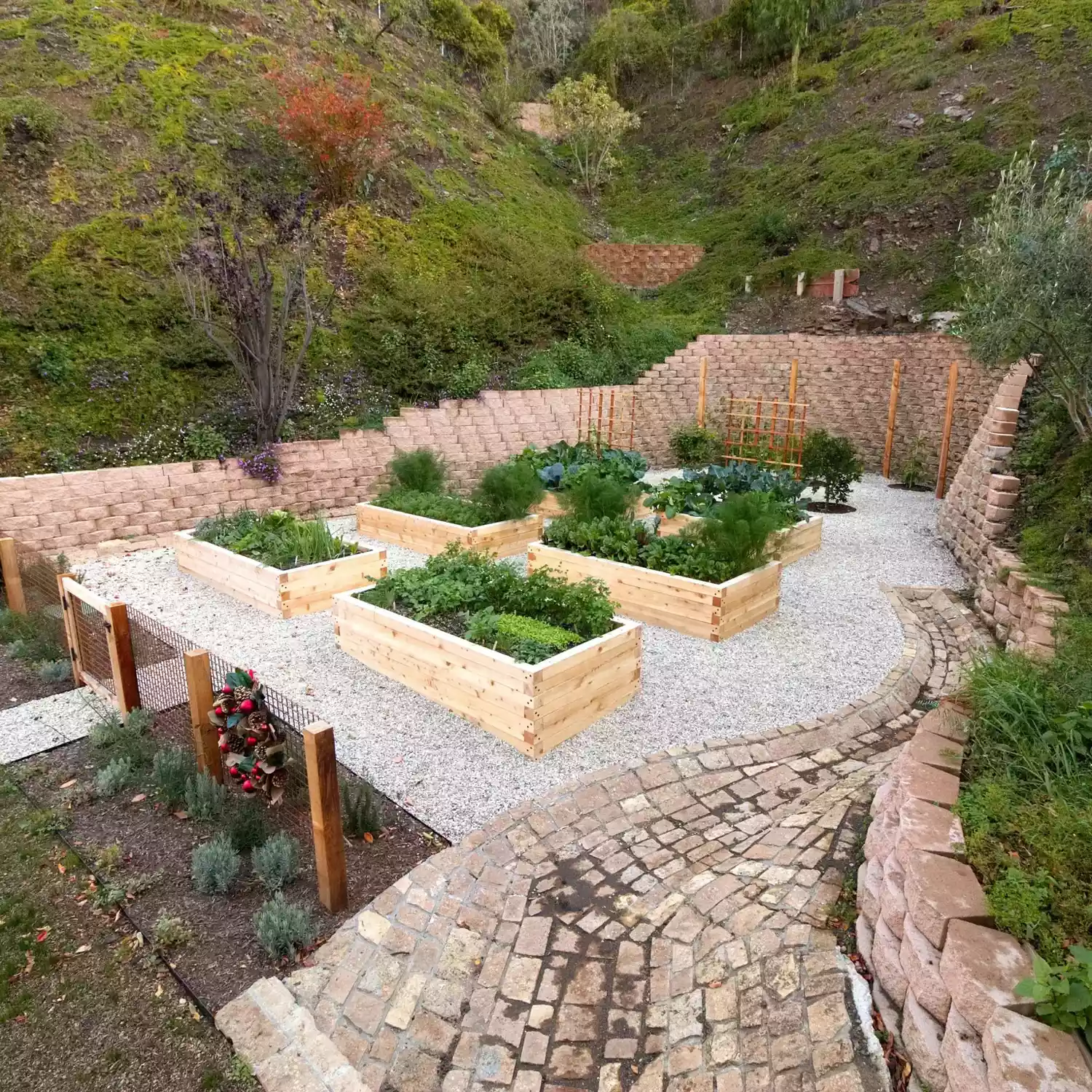 raised garden beds with gravel