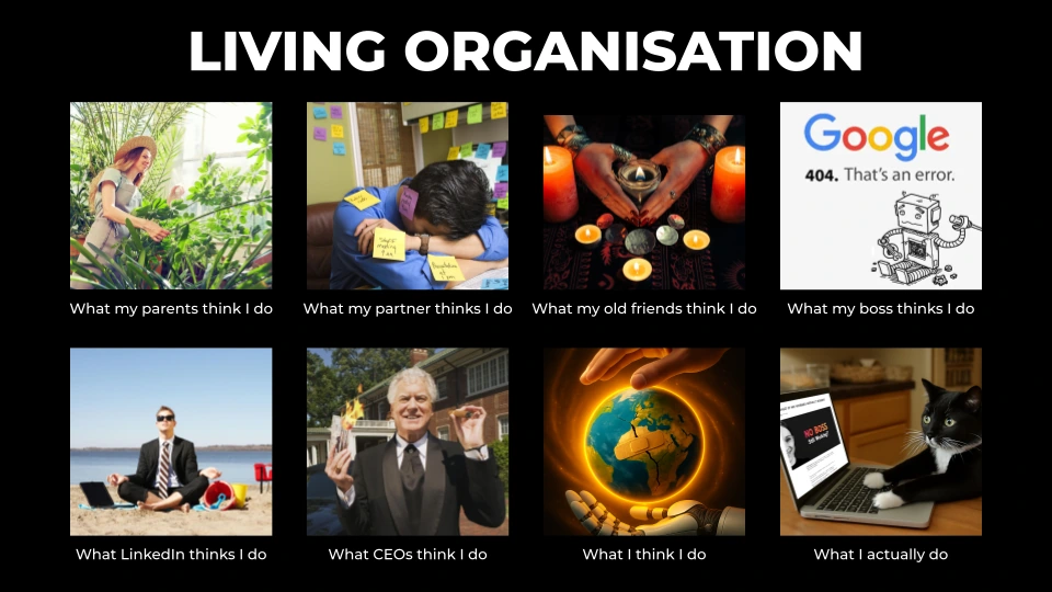 Living Organisation Christine Paulus Organizational Development Framework Meme