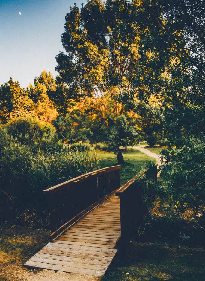 Puente de paso de canal en el jardín del botánico en Noches del Botánico.