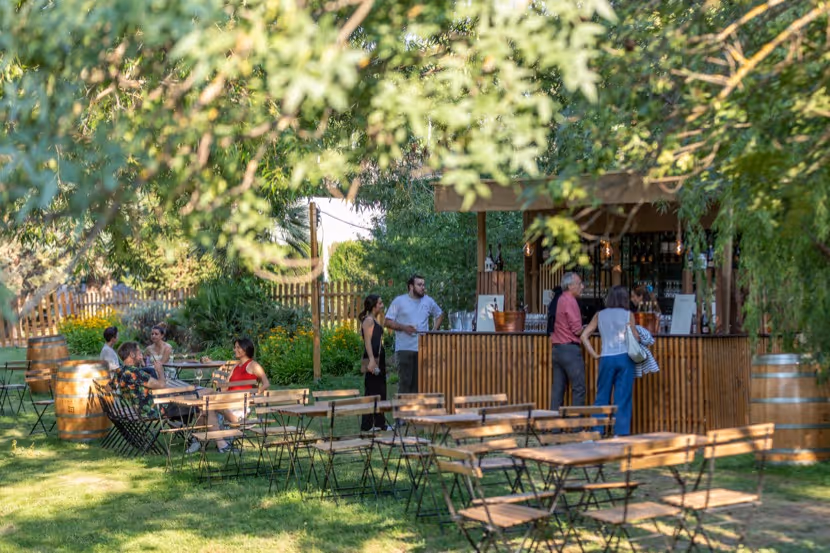 Attendees at Noches del Botánico enjoying the VIP area