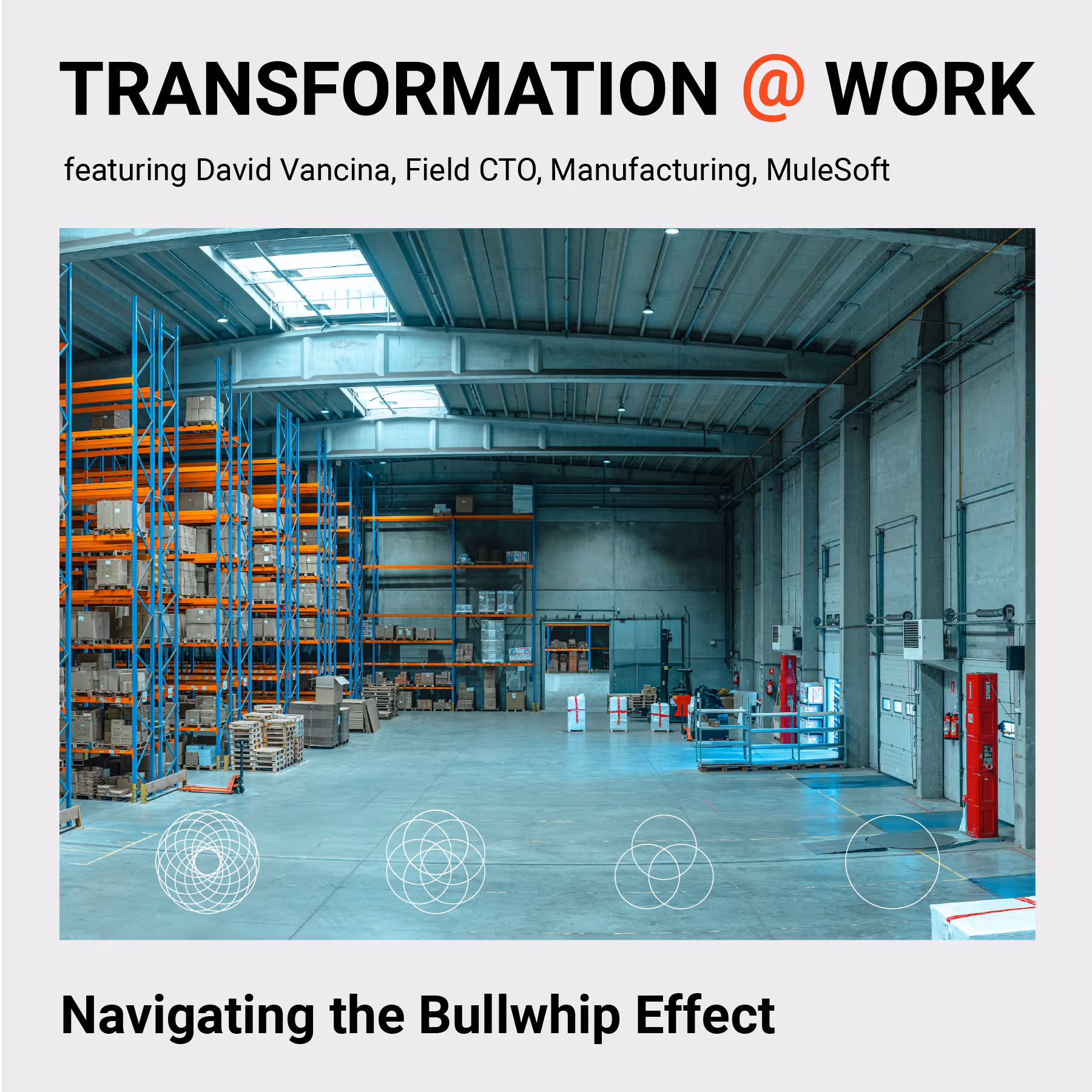 Working warehouse with shelving