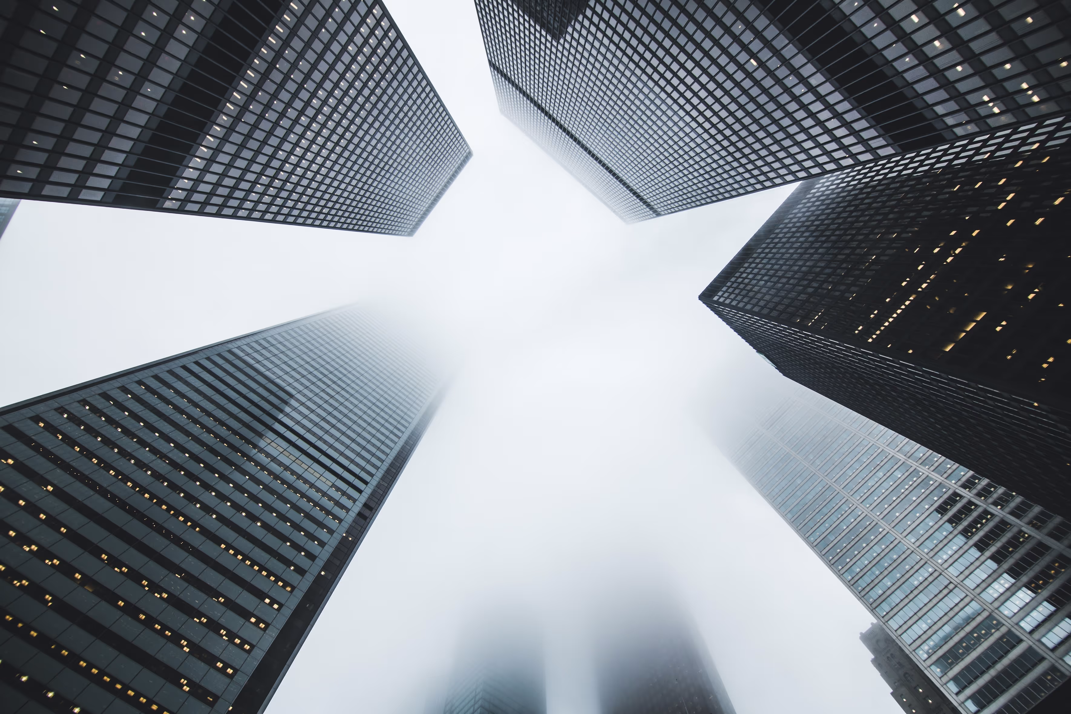 Data is the backbone of your business strategy