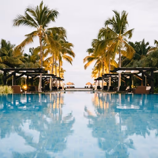 resort pool and palms