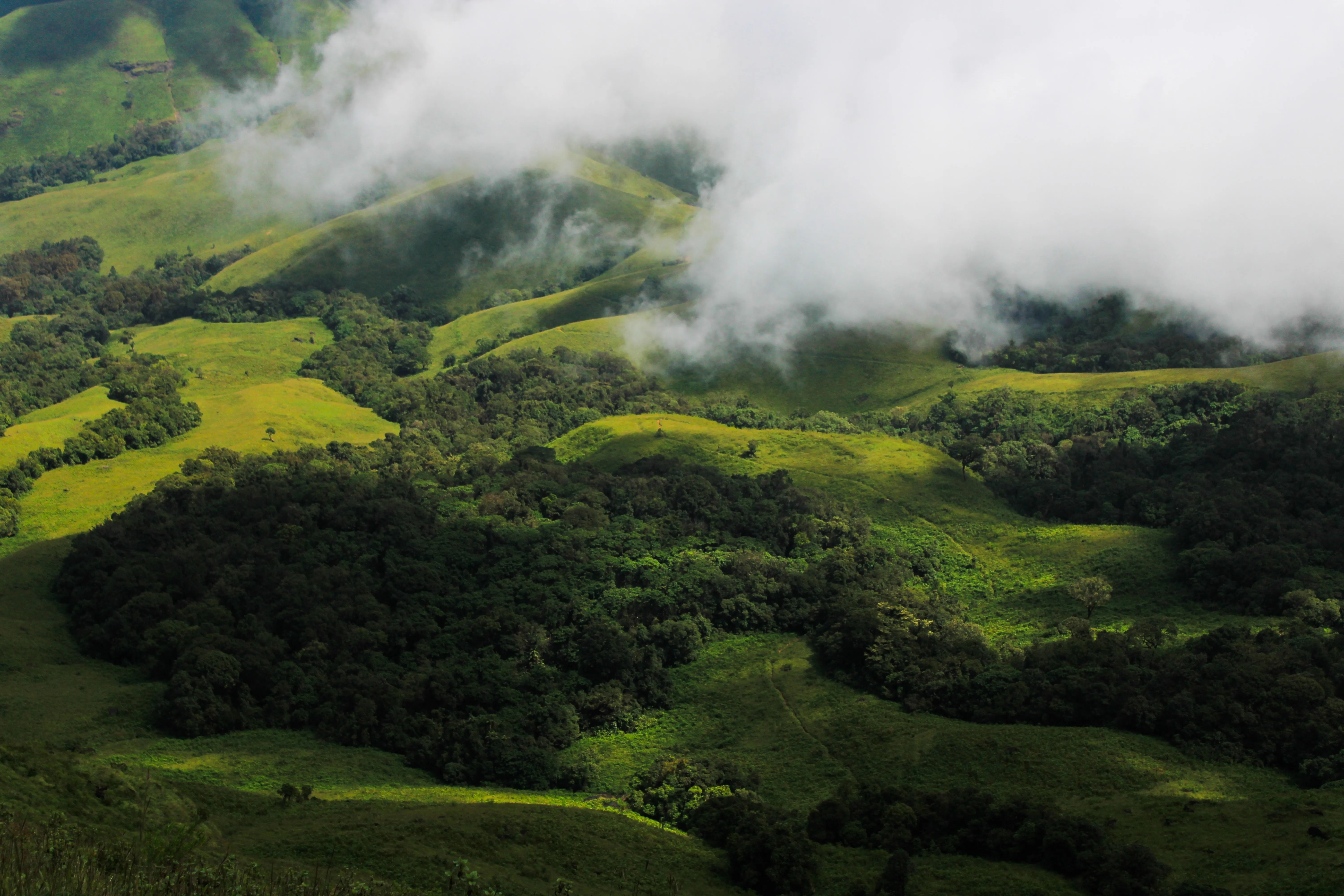 mountains view