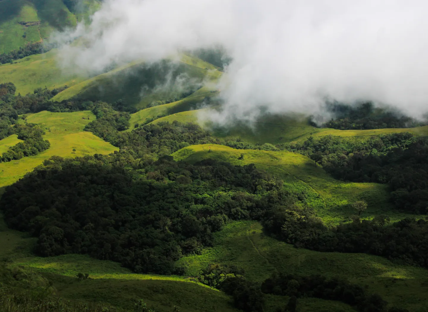 mountains