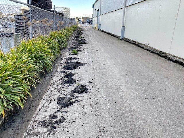 Images showing before and after of a driveway cleaning job in Christchurch, Canterbury