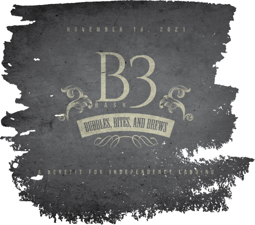 B3 Event Logo/Branding