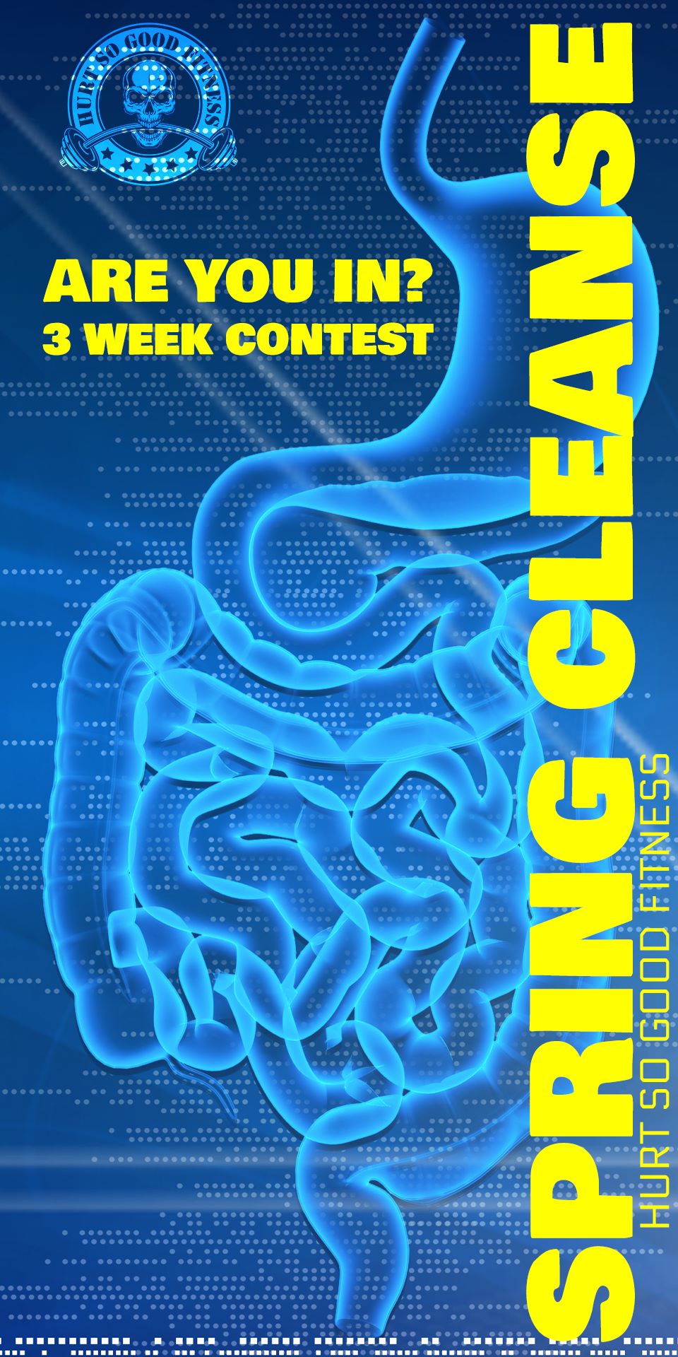 Photo of digestive system for Spring Cleaning