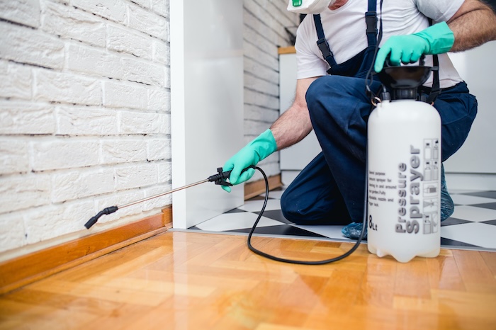 Pest control worker using a pressure sprayer. 