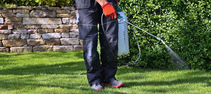 Pest control professional spraying a yard.
