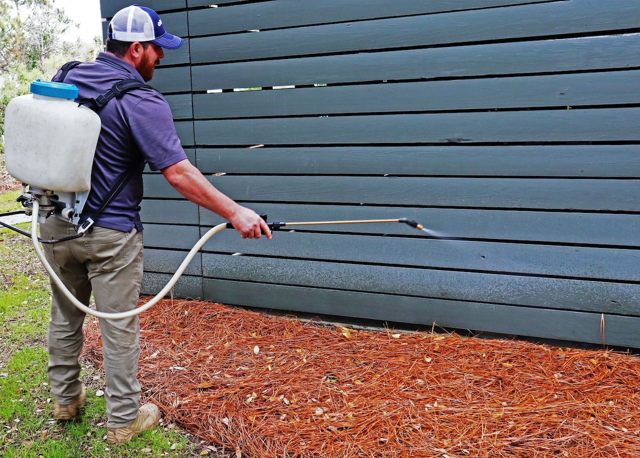Pest control worker in purple spraying a wall outside. 