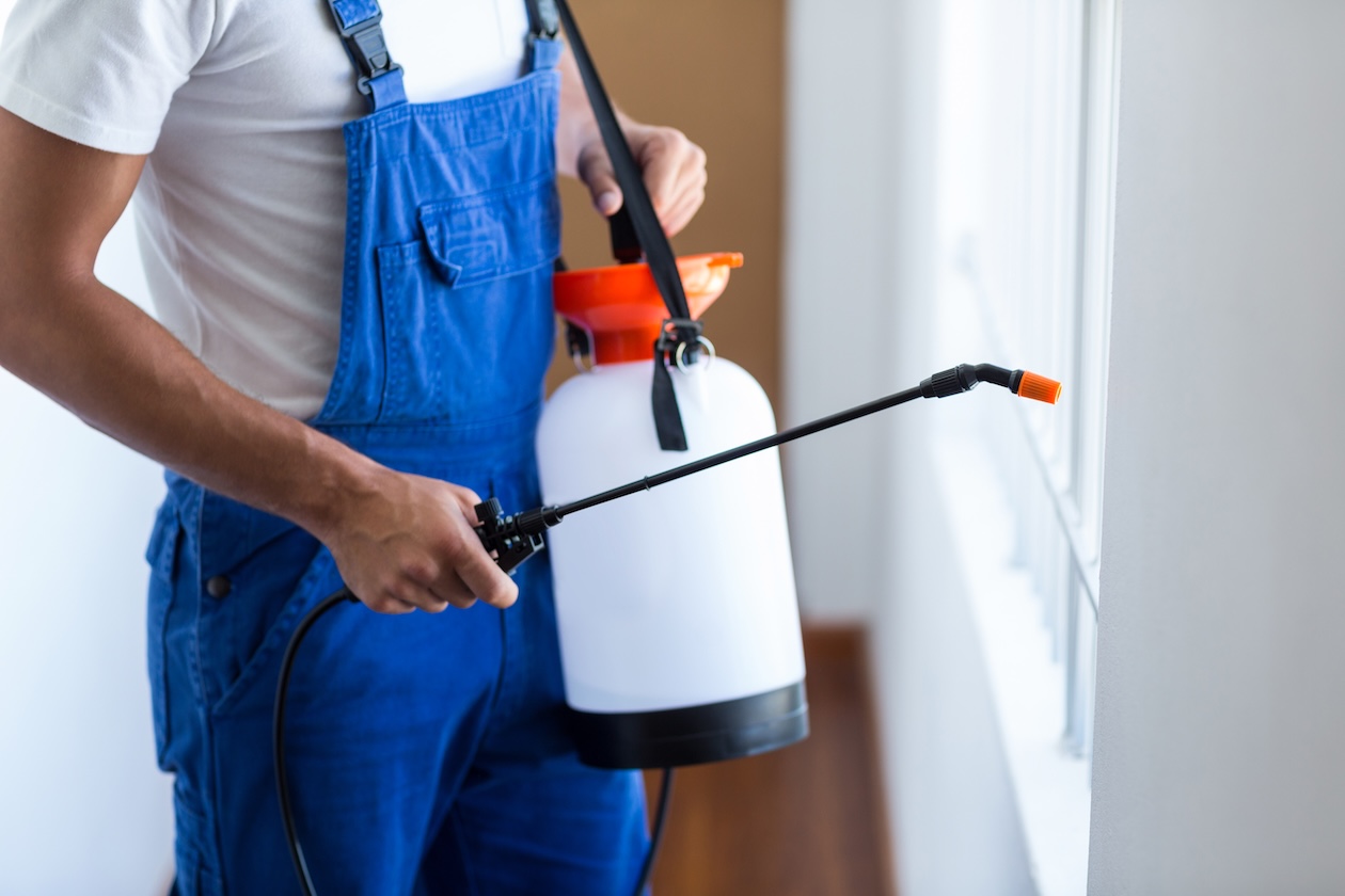 Pest control technician holding sprayer while performing interior treatment