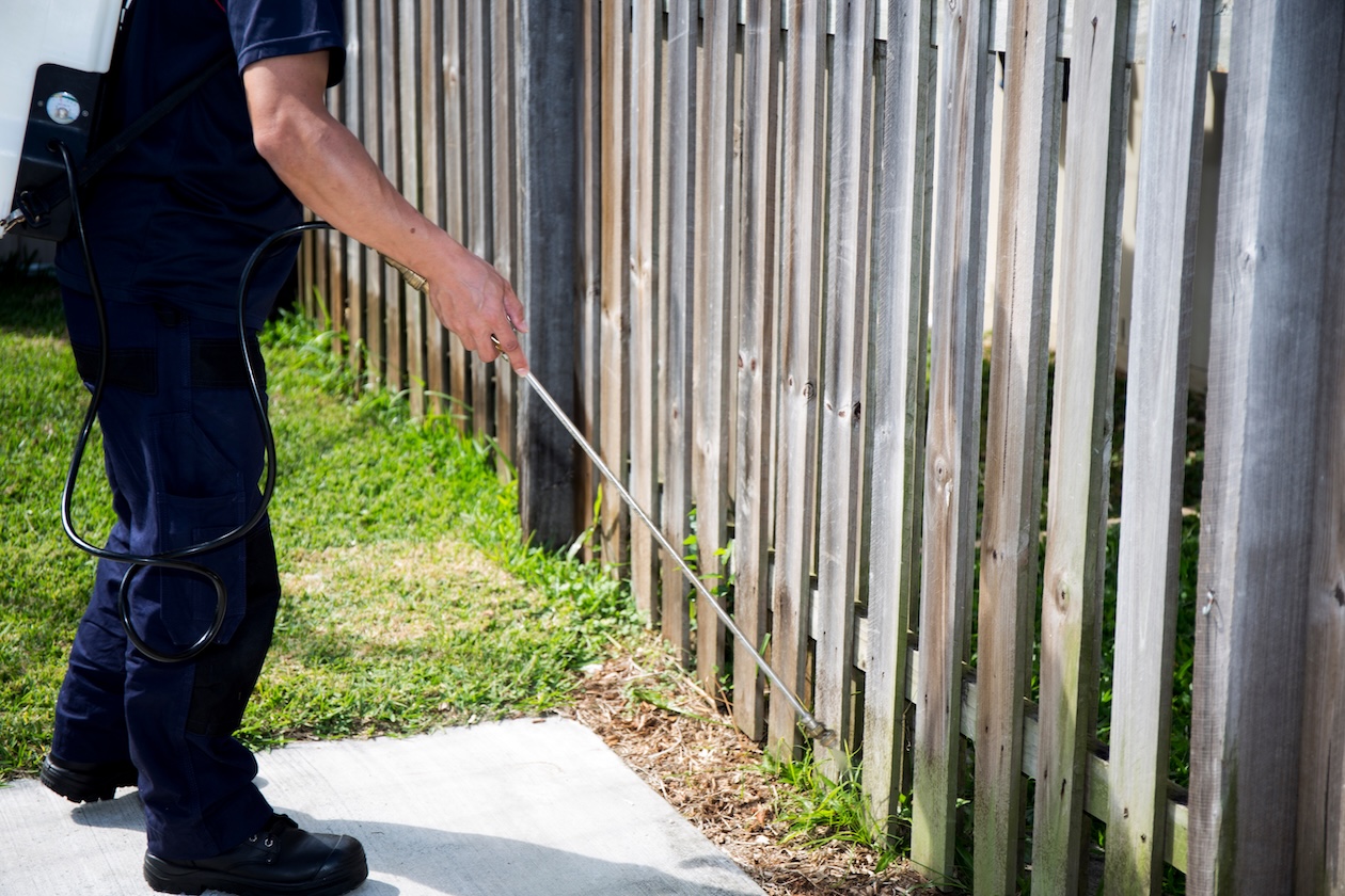 Pest control technician spraying pesticide around the exterior of a residential home during service